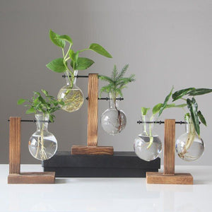 Vasos Hidropônico para Plantas - Mini Water Plant