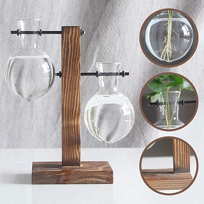 Vasos Hidropônico para Plantas - Mini Water Plant
