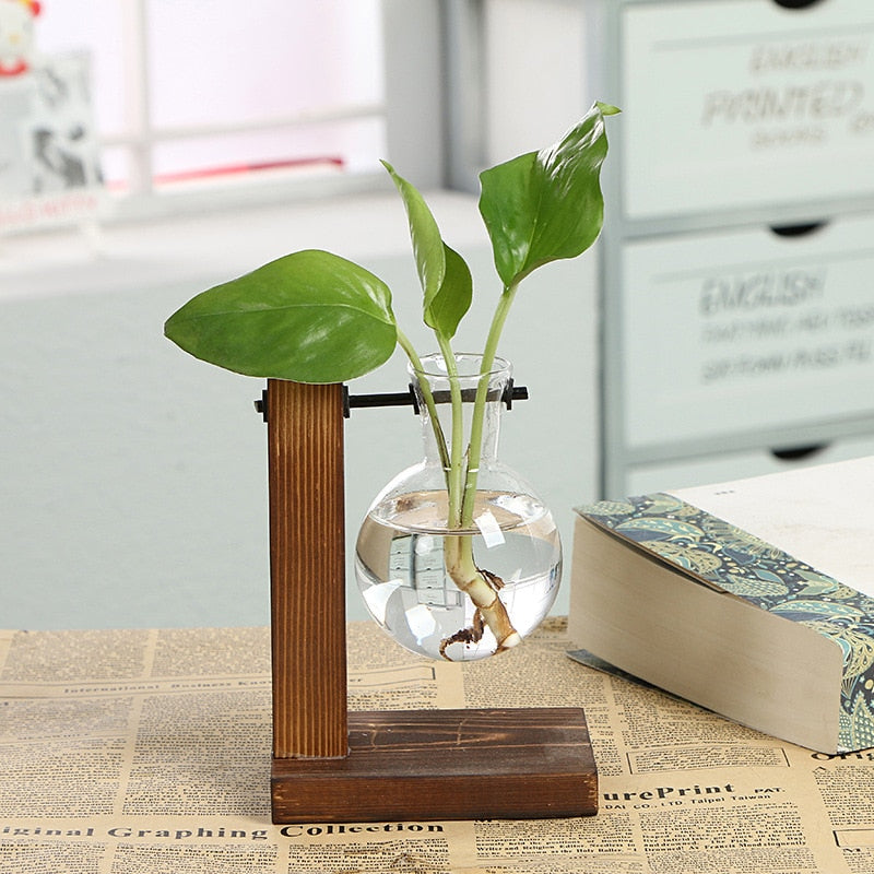 Vasos Hidropônico para Plantas - Mini Water Plant