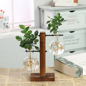 Vasos Hidropônico para Plantas - Mini Water Plant