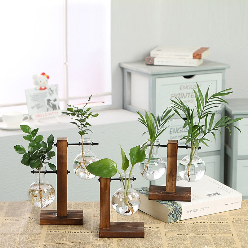 Vasos Hidropônico para Plantas - Mini Water Plant