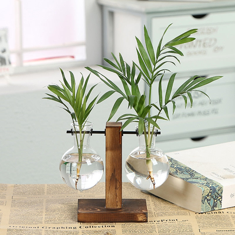 Vasos Hidropônico para Plantas - Mini Water Plant